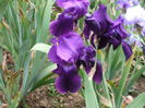 DSCF8555