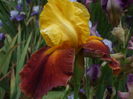 DSCF8560
