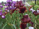 DSCF8566