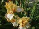 DSCF8573