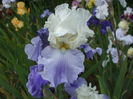 DSCF8577