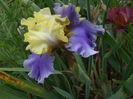 DSCF8578