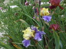 DSCF8579