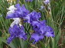 DSCF8581