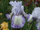 DSCF8582
