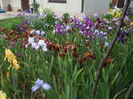 DSCF8584