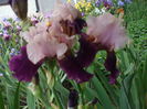 DSCF8585