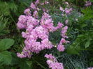 DSCF8587
