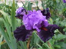 DSCF8591