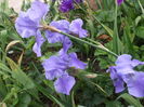 DSCF8592