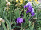 DSCF8596