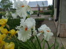 DSCF8598