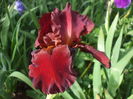 DSCF8602