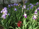 DSCF8603