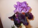 DSCF8620