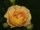 20160518_191932