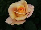 20160518_192108