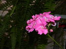 DSCN8713