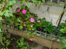 DSCN8741