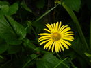 DSCN8749