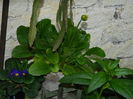 DSCN8780