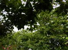 DSCN8788