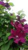 20160516_191556