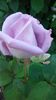 20160519_073934