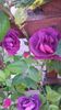 20160519_074000