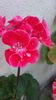 20160518_084210
