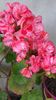 20160518_084215