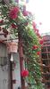 20160517_091125