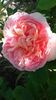 20160518_084426