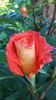 20160519_073716