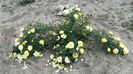 20160519_172345