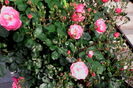 IMG_20160520_081136