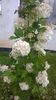 WP_20160513_16_06_38_Pro