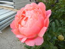 086