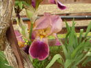 041