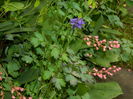 DSCN8835