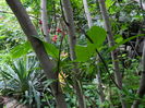 DSCN8848