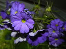 DSCN8891