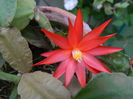 DSCN8904