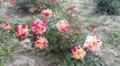 20160520_184607