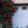 IMG_20160520_205835