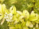 P1270758