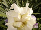 P1270773