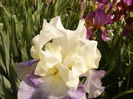 P1270774