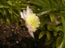 P1270802