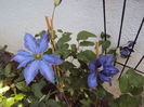 DSC01125